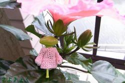 725a79d0.JPG