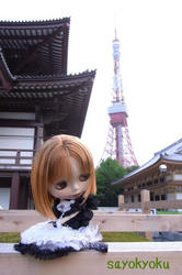 c2332143.JPG