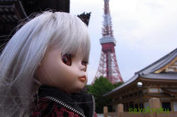 95588c2f.JPG