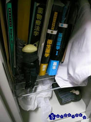 f4ac962d.JPG