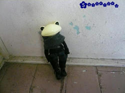 84da2f79.JPG
