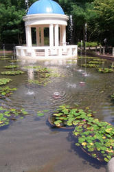 b99323c5.JPG