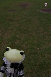 fded6f06.JPG