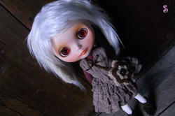 5605d9f5.JPG