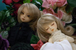 3cbf523a.JPG