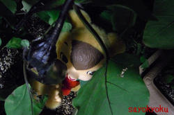 326008e5.JPG