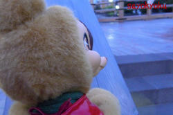 a09c0c72.JPG