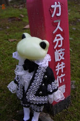 174b9a0b.JPG