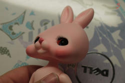 P1010620.JPG
