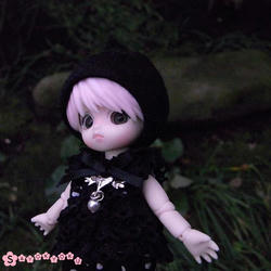 199a6b2f.JPG