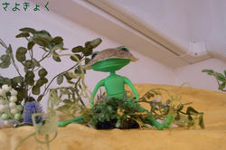 25c04232.JPG