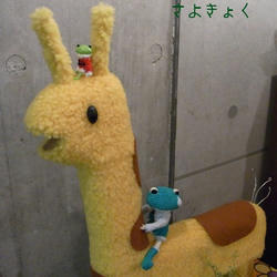 cc20716a.JPG