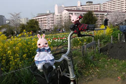 P1030004.JPG