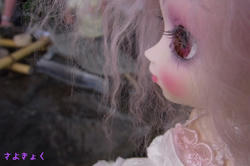 d4949088.JPG