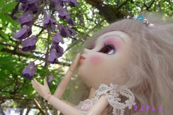 522e456e.JPG