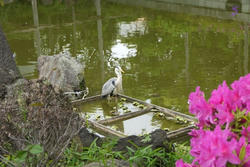 P1030531.JPG