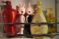 P1020126.JPG
