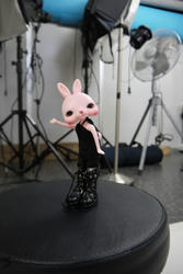 P1020145.JPG