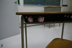 P1020128.JPG