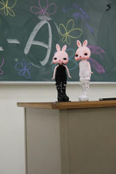 P1020135.JPG