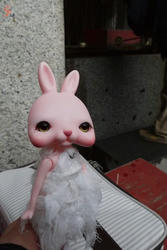 P1080839.JPG
