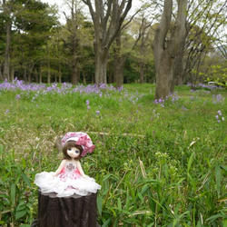 P1110590.JPG
