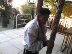 SBSH0407a.jpg