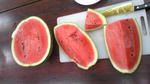 SBSH0617a.jpg