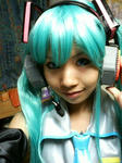 P1250146miku.jpg