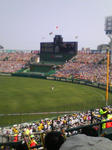 P1000098.JPG