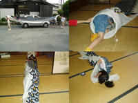 koinobori.jpg