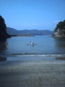 050826sisikui.jpg