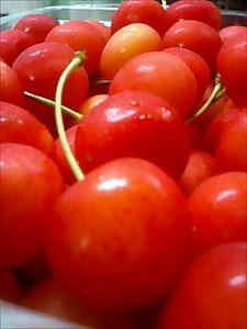 img20060709.jpg