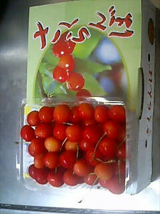 img20060709_1.jpg