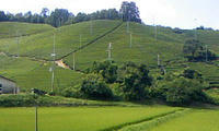 080815_fuukei.jpg