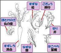 春の七草2