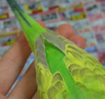 5c3447ac.JPG