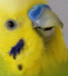 11254095.jpeg