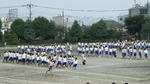 2008西体育祭