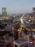 東京タワー④