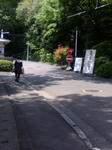日本女子大付属