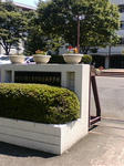 2011秦野総合01