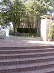 2011日大藤沢