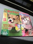 いぬのきもちねこのきもちin郵便局