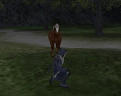 20081222_122024828s.jpg