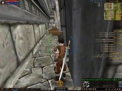 IMG00000000.jpg