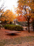081209_1311~01.JPG