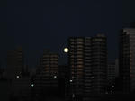 IMG_0579.JPG