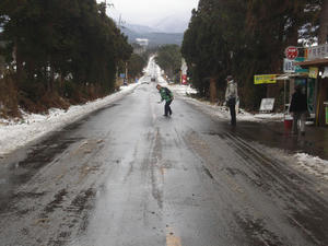 DSC00008.jpg