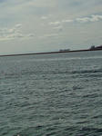 74a5016e.jpg